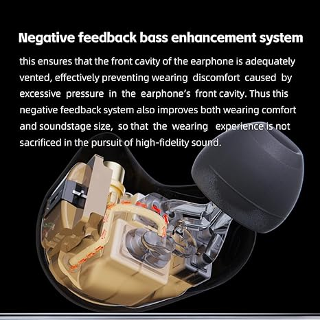 FiiO FA19 10 Balanced Armature in Ear Monitors | Audiophile Earphones with Detachable Pure Silver MMCX Headphone Cable
