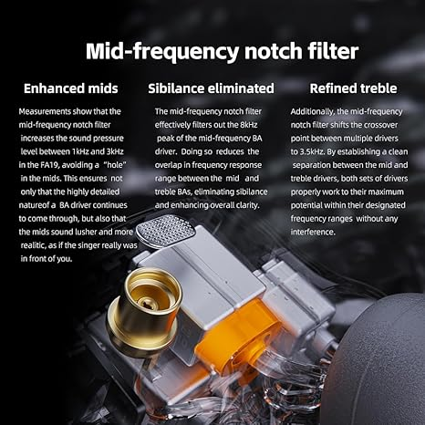 FiiO FA19 10 Balanced Armature in Ear Monitors | Audiophile Earphones with Detachable Pure Silver MMCX Headphone Cable
