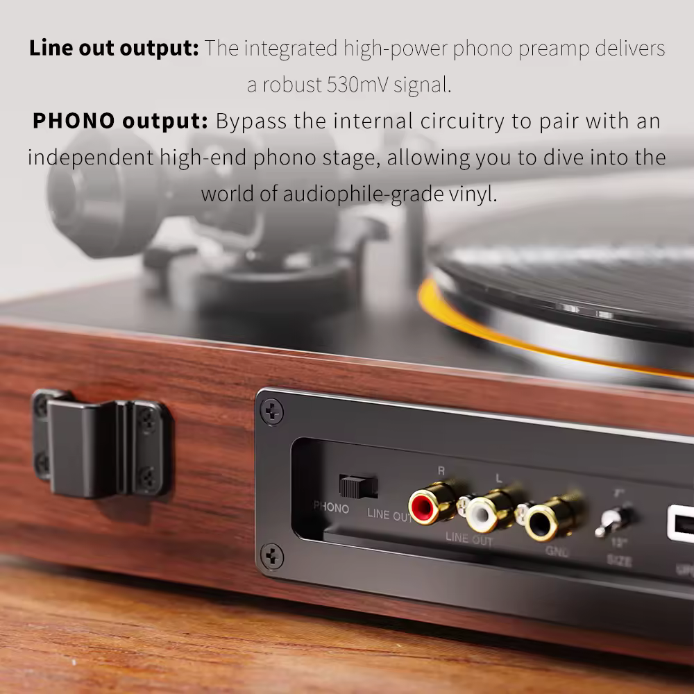 FIIO TT11 Fully Bluetooth Vinyl Automatic Turntable | Built-in Preamp | Line & Phono Output | 2-Speed (33/45 RPM)