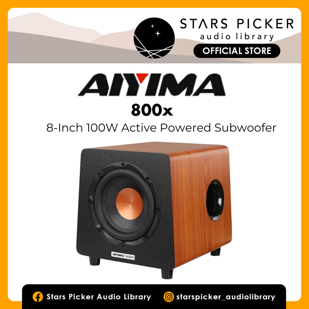 AIYIMA 800X 8-Inch 100W Active Powered Subwoofer LFE RCA speaker input