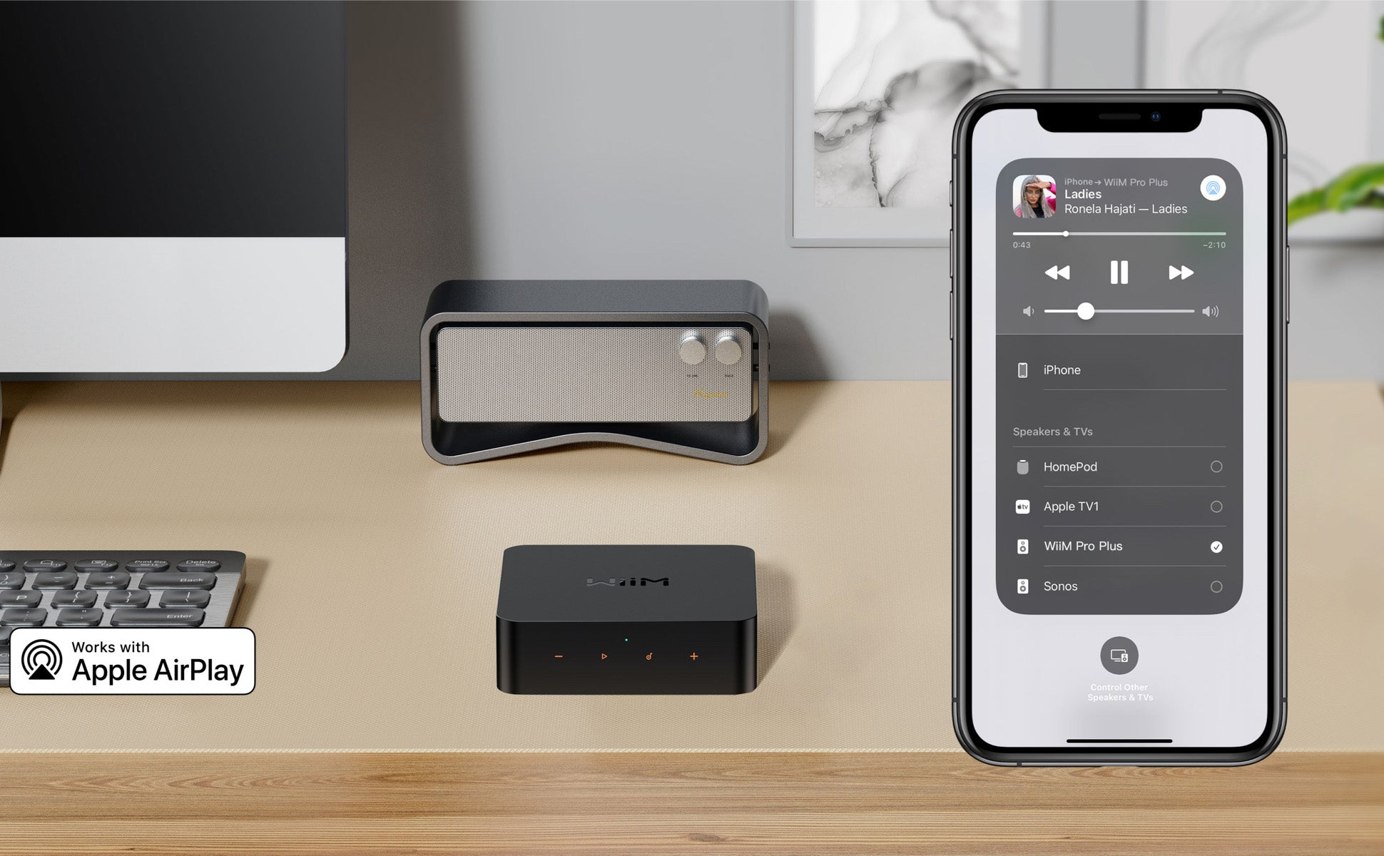 WiiM Pro+ Audiophile Music Streamer | AKM 4493SEQ Velvet Sound DAC | Pro Plus | WiFi Streamer