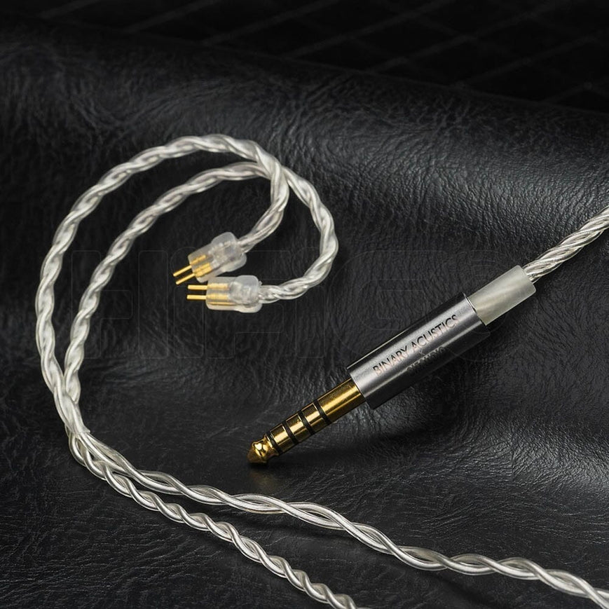 Binary Acoustics x Gizaudio Chopin 1DD+3BA Hybrid IEM Earphone - Gizaudio x Binary Chopin