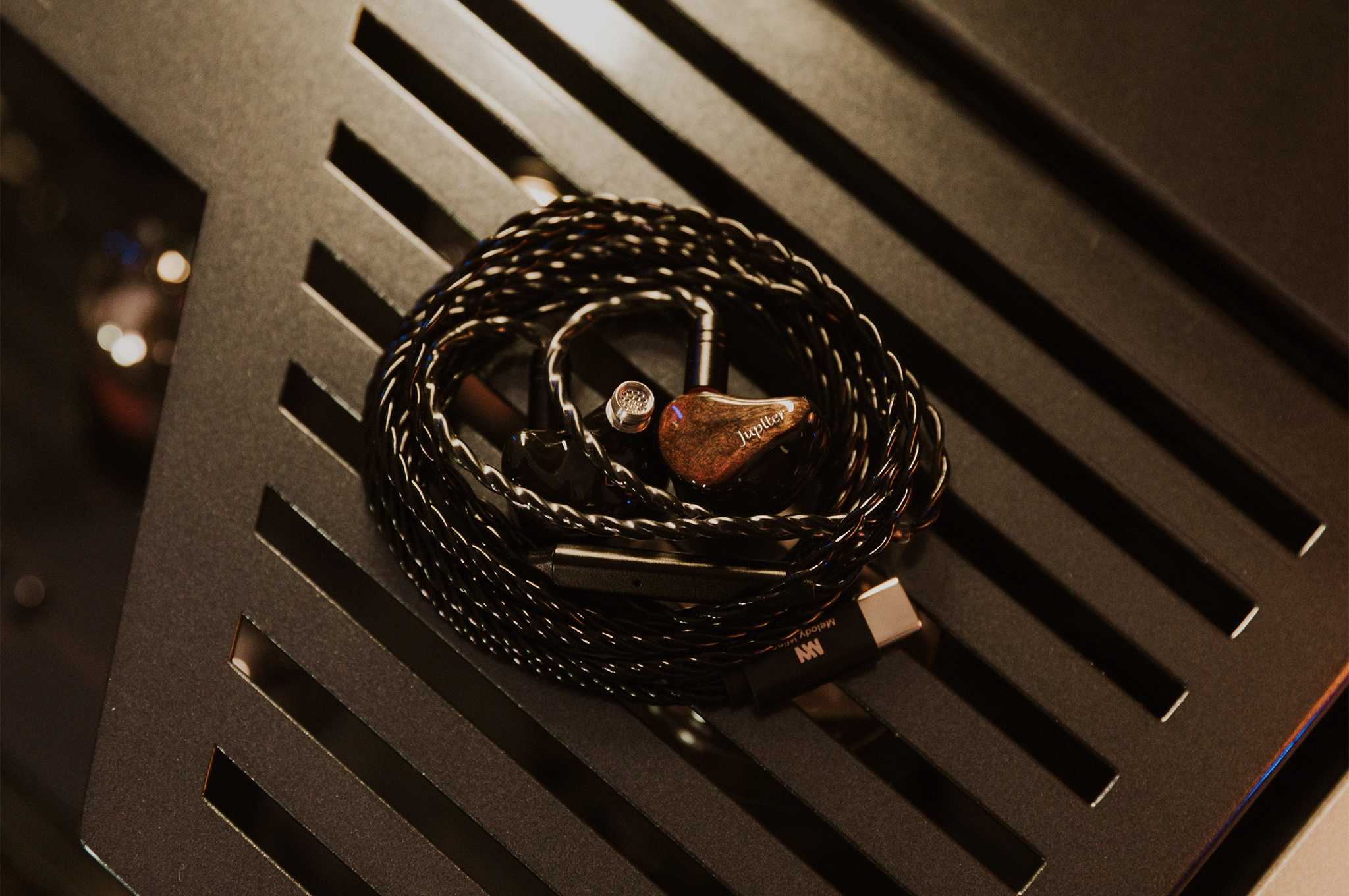 Melody Wings Jupiter | Titanium-plated 1DD In-Ear Monitors | Mobile Gaming IEM, Ergo Earphones USB C With Mic & Volume
