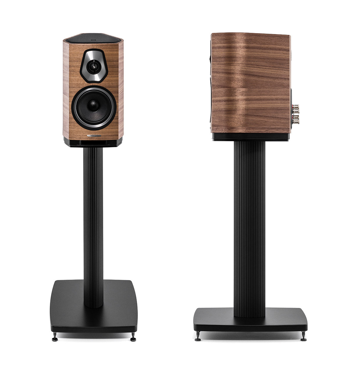 Sonus Faber SONETTO I - Passive 2-way Bookshelf Loudspeaker with Vented Box Design
