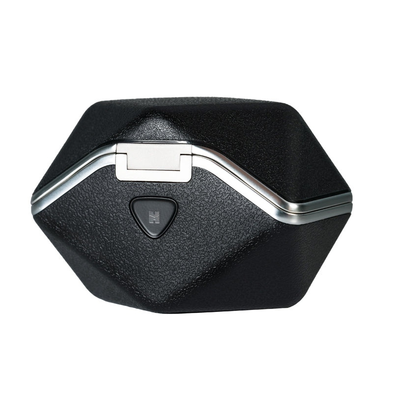 Hifiman Svanar Wireless R2R Bluetooth 5.2 LDAC IPX5 ANC True Wireless Earbuds