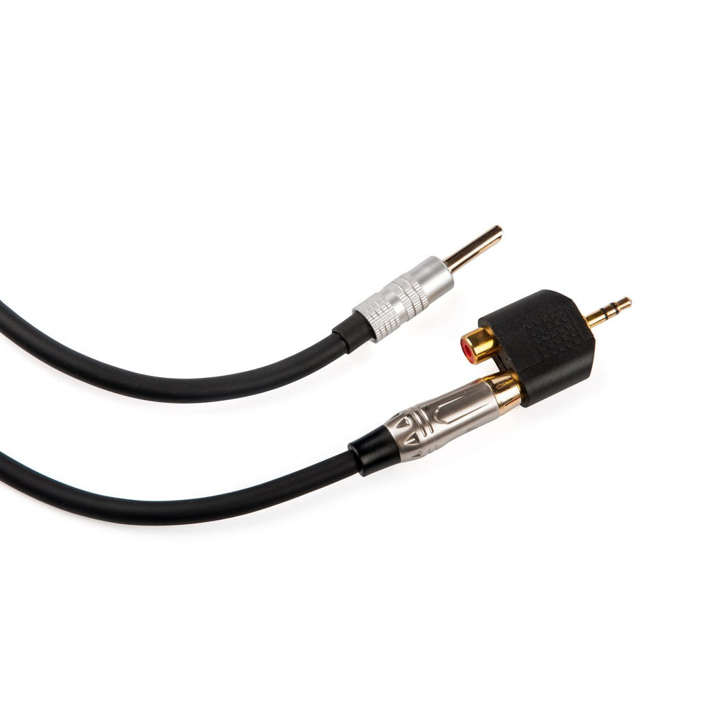 iFi audio Groundhog+ / Groundhog Plus - Ground Loop Isolator for Audio Systems