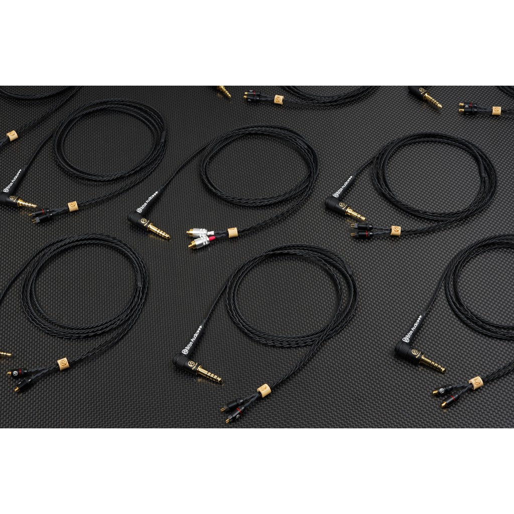 Brise Audio NAOBI-LE / NAOBI LE - Spiral77 for NAOBI Light Edition IEM Earphone Upgrade Replacement Cable