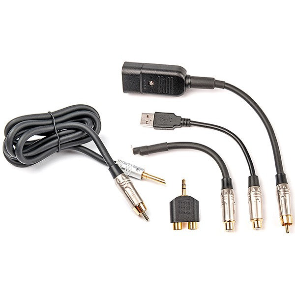 iFi audio Groundhog+ / Groundhog Plus - Ground Loop Isolator for Audio Systems