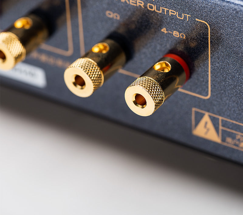 Cayin MT-12N (230V) with 6P1 Vacuum Tube Valve Integrated Amplifier for Passive Speakers