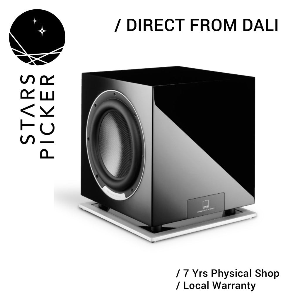 Dali SUB P-10 DSS - Hifi Subwoofer / Audiophile Subwoofer / Subwoofer for Hifi Systems