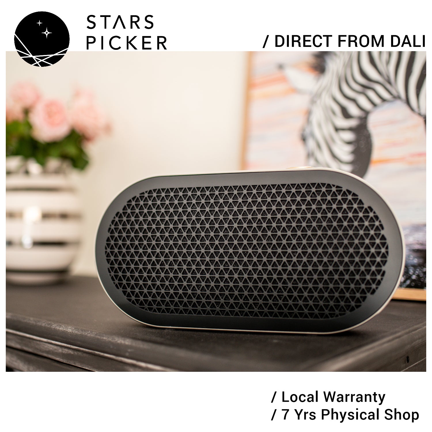 DALI KATCH G2 - Battery Powered Hi-Fi Portable Bluetooth 5.0 Loudspeaker