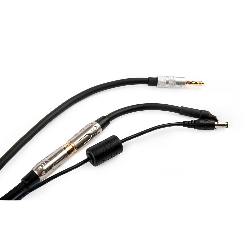 iFi audio Groundhog+ / Groundhog Plus - Ground Loop Isolator for Audio Systems