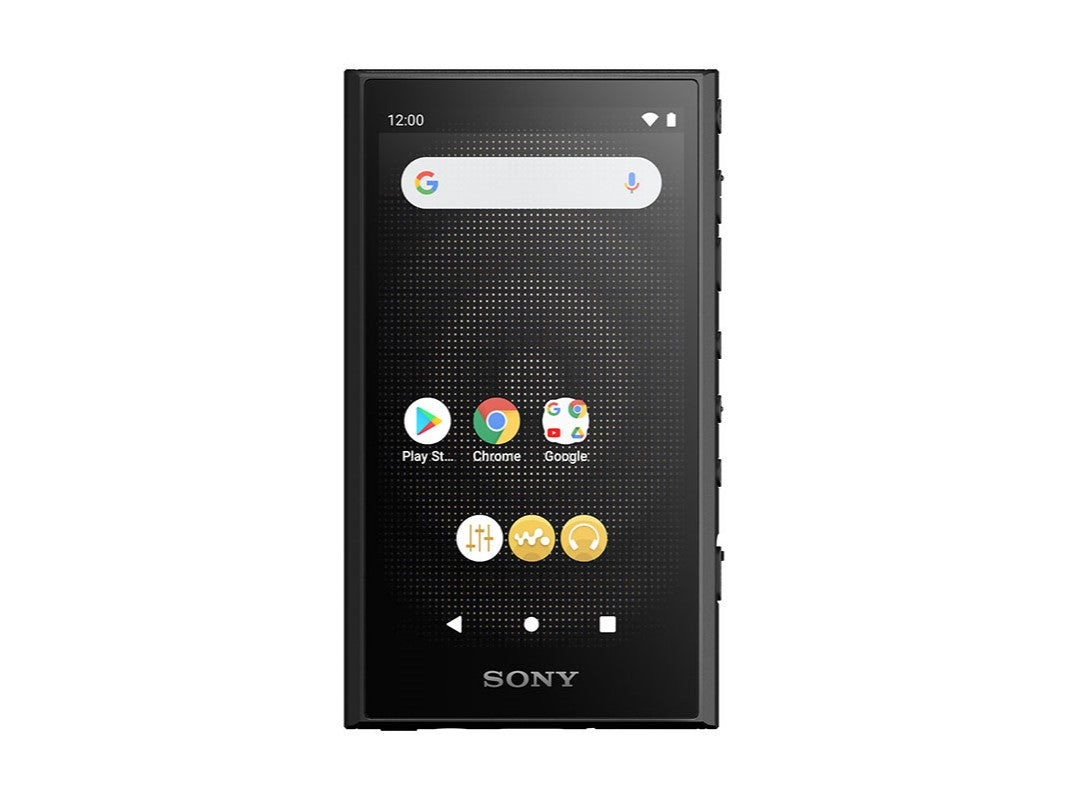 Sony NW-A306 Hi-Res Portable Digital Audio Player DAP Walkman LDAC aptX HD Lossless DSD MQA A306