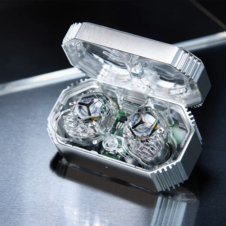 Acoustune HSX ONE - Dynamic Driver Noise Cancelling ANC Bluetooth True Wireless Earphone with ANIMA Made In Japan