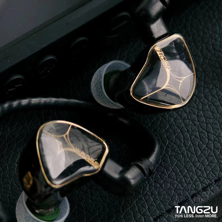 Tangzu WAN'ER S.G & Studio Edition | 10mm Dynamic Driver IEM Earphone Dual Chamber PET Diaphragm | Detachable Cable