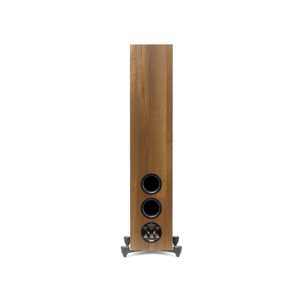 MartinLogan Motion Foundation F1 Floorstanding Speaker