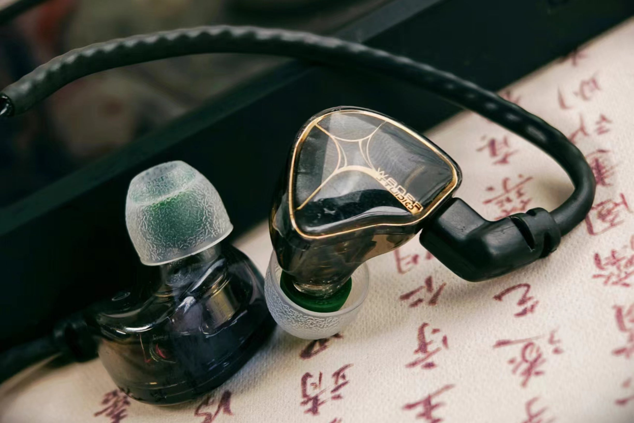 Tangzu WAN'ER S.G & Studio Edition | 10mm Dynamic Driver IEM Earphone Dual Chamber PET Diaphragm | Detachable Cable