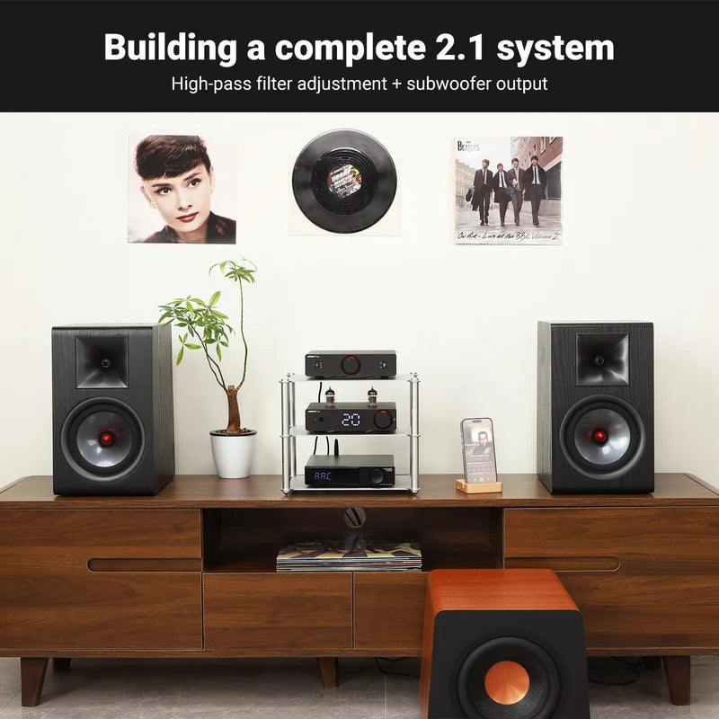 AIYIMA A20 Balanced Stereo Hi-Fi Speaker power amplifier passive speakers UK plug