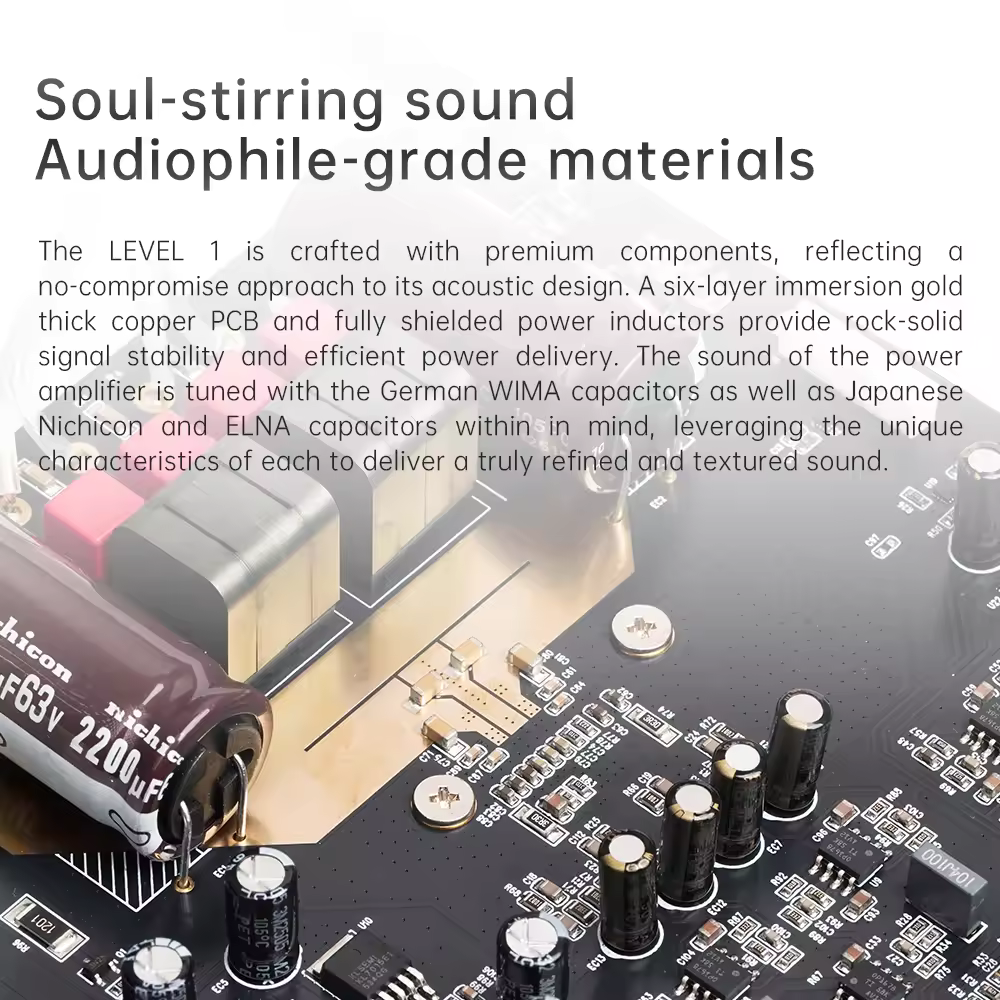 FiiO JadeAudio Level 1, Class-D Power Amplifier | 2×300W | LDAC Bluetooth & USB/Coax Input | Subwoofer Out