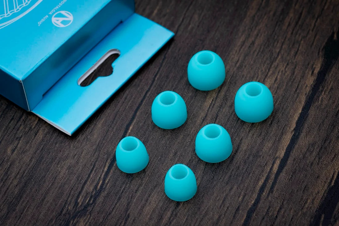 Nostalgia Audio | XWB Eartips extra wide bore for IEMS earphones medical grade silicon