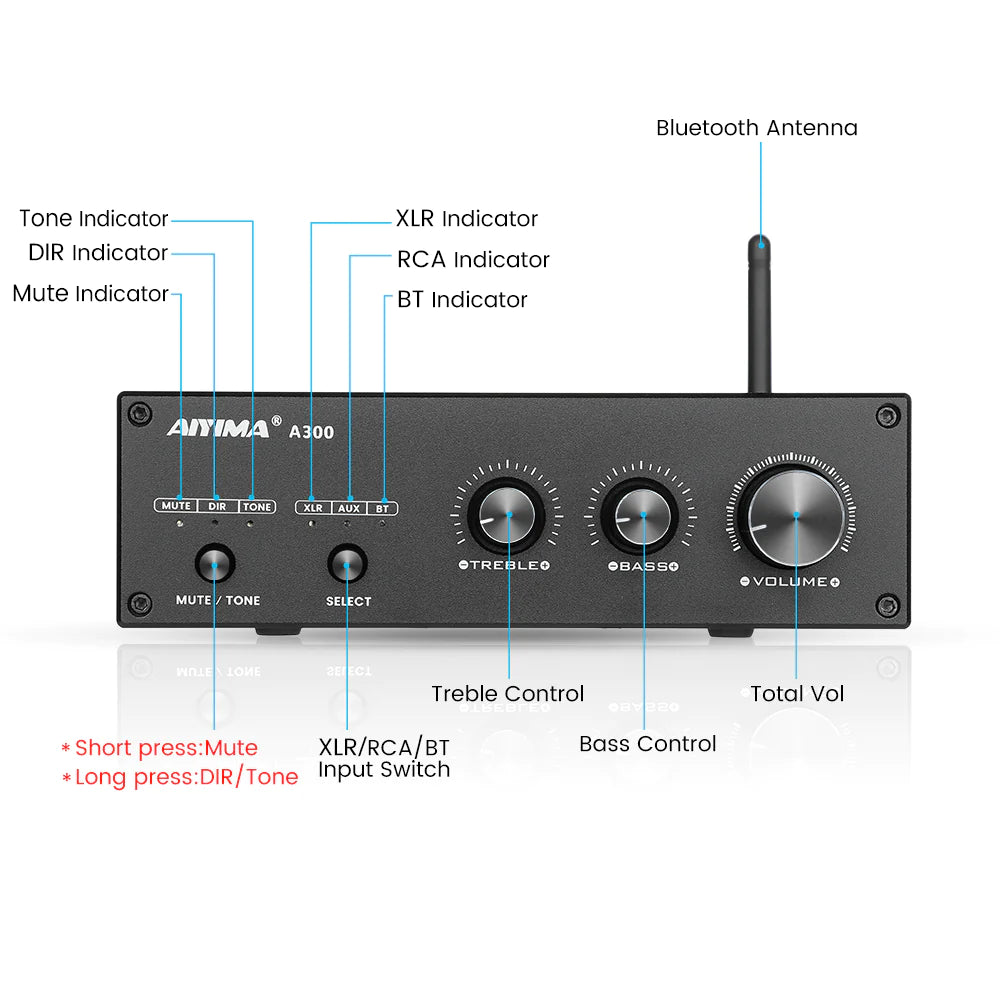 Aiyima A300 Wireless/Wired Power Amplifier (4-8Ω) for Passive Speakers (include Power Adapter)
