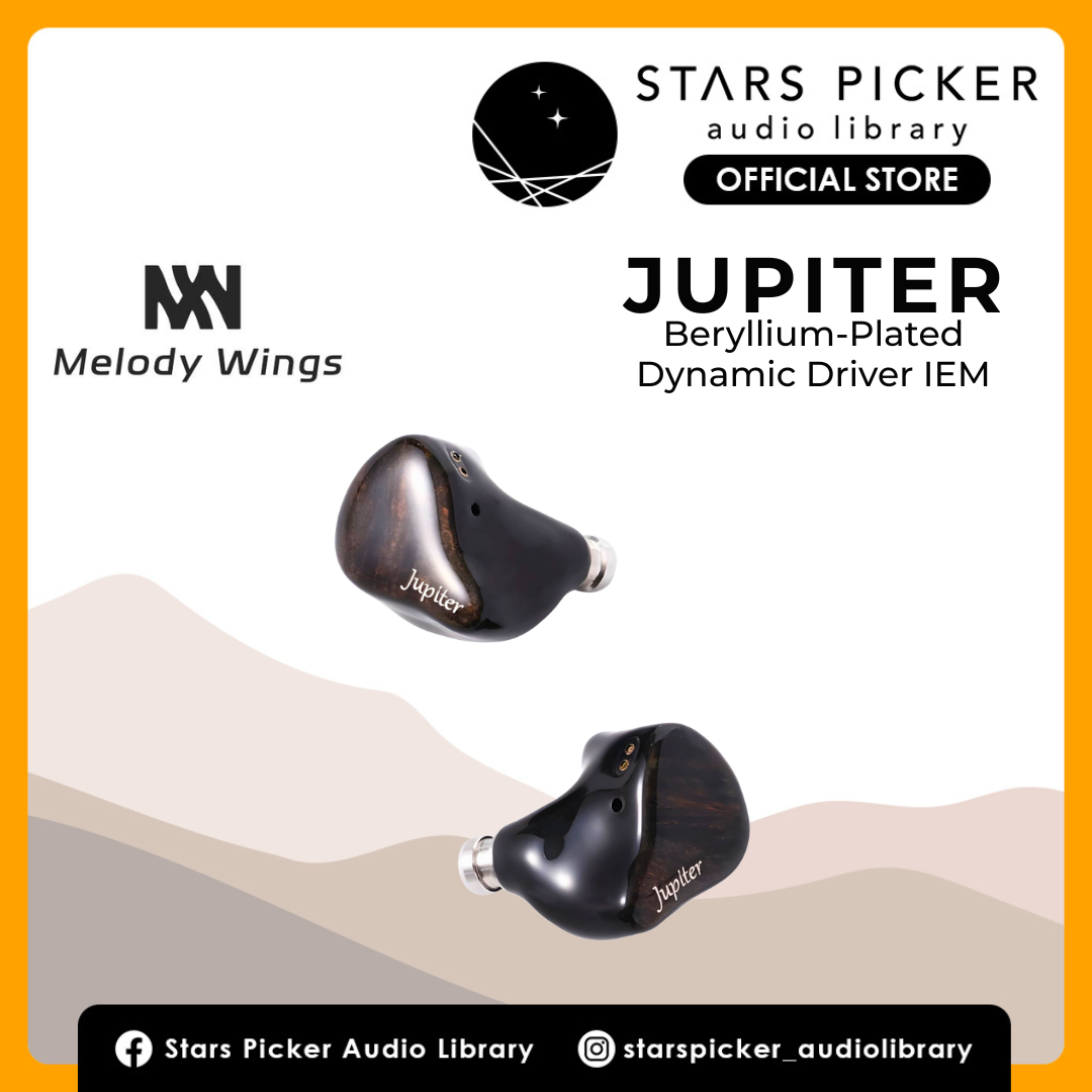 Melody Wings Jupiter | Titanium-plated 1DD In-Ear Monitors | Mobile Gaming IEM, Ergo Earphones USB C With Mic & Volume