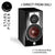 Dali Rubicon 2 - Hifi speakers / Audiophile speakers / Passive speakers